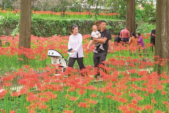 c4ef3089-b517-4edc-9140-de308a0e479c