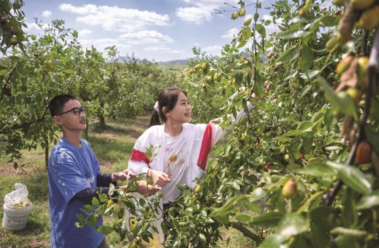 12a2c87d-284c-42c7-a6f6-1fbae56acf70