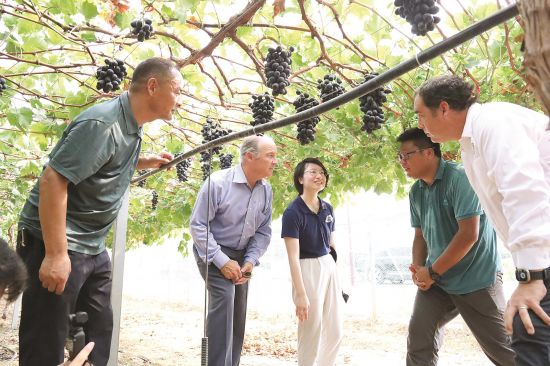 ee02c853-3b93-4753-aa9f-e4e0dc2f4350