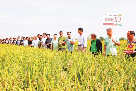 0db0669d-fd4e-4226-8894-6c6245ad344e