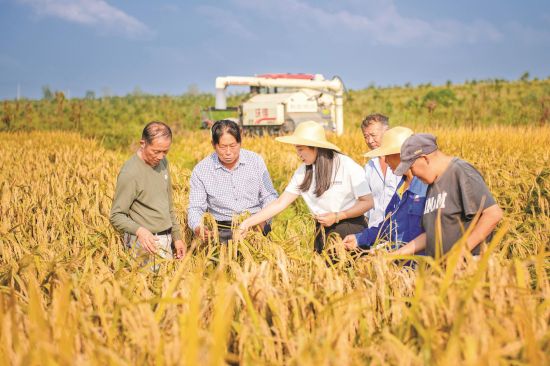 7cf8f760-8f1b-475c-bb41-d7a7593622eb