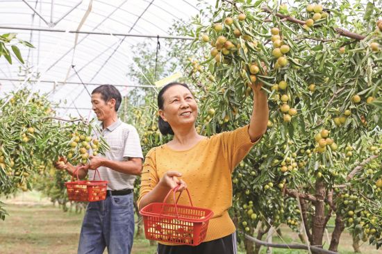 d2667b7f-cdec-447c-886c-a5a6f2672075