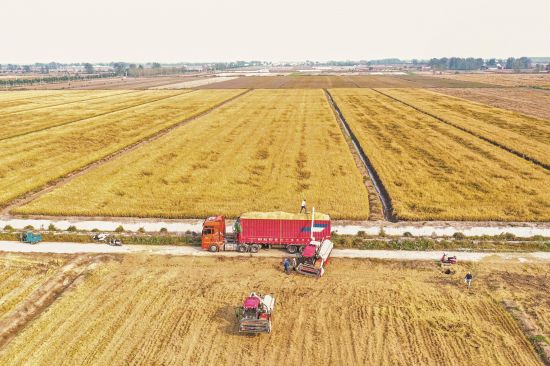 a1ba3612-da01-4df5-af36-7df2c48bb877