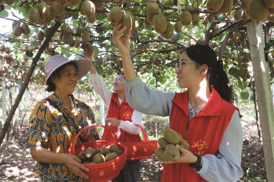 efb7810a-404d-4496-820d-704de81b2ee3