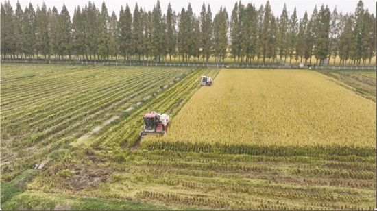 c684bde9-1f6f-4ba0-9205-c0c43a6c8dfc