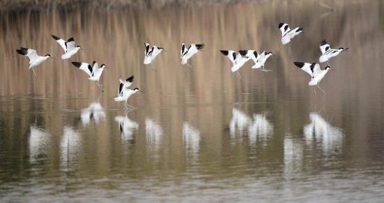 70818946-cb7a-4a38-8d14-c8072f17740a