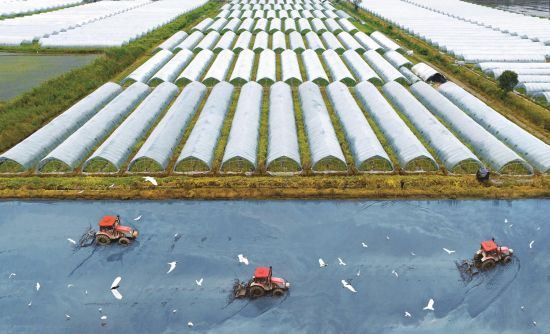 37fbdb60-a7a6-4a5b-9e89-f042539cb4fc