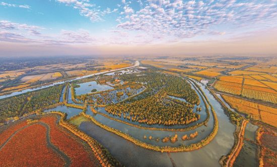 bb17da4b-6740-4399-8f03-d943c8fd7af2