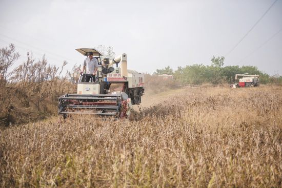 e55aa76d-3e8f-453b-87ce-9e8e7bd5ecb4