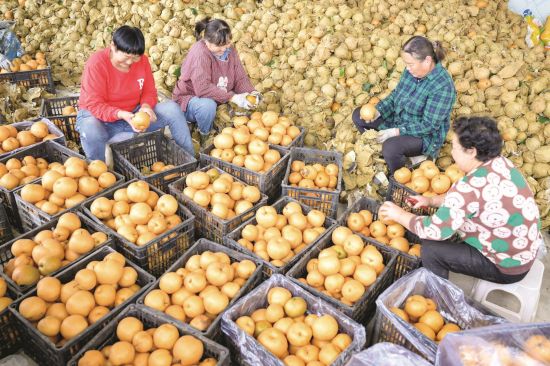 e35f734c-a56e-4edf-80ff-3642be76feb9