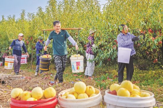 715f097d-fe16-45c1-b64f-4a236958d83f