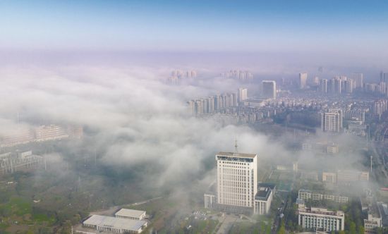 44552f41-f35b-4610-8352-e0fdc3e846ad