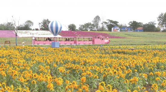 9e9c31b1-b9cf-4635-8c2b-2a56becf0c51