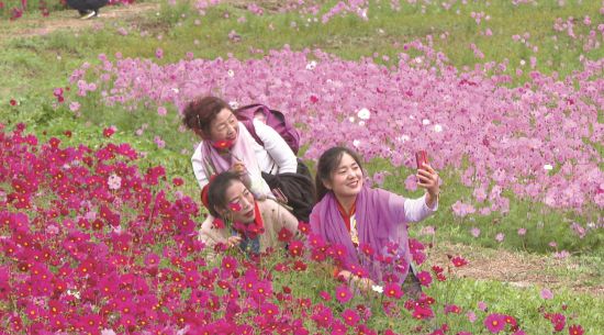 7c3c34f9-21b0-49da-815a-848fdbf79db8