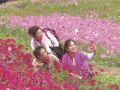 “花海”竞放醉游人
