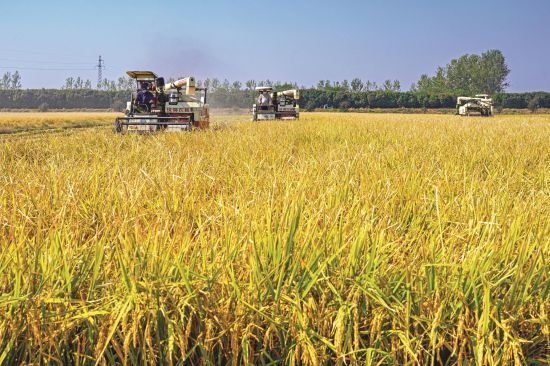 083bf711-a2f3-49f3-bb94-c49600c40019