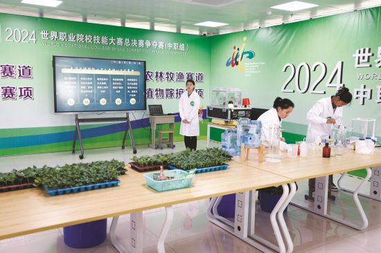 82da9d83-4c3d-4b2f-a4fd-86eef5fda45e