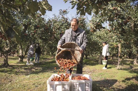 a97567fd-5c4c-4614-9493-95f9aca6b52a