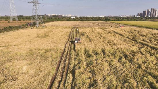 c15cf090-b945-4527-8981-19306ba31f33