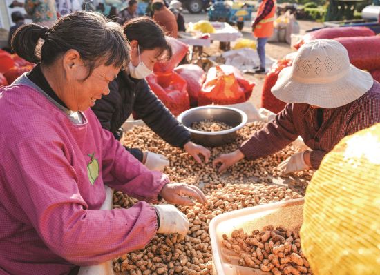 c6543fd6-1afb-4f75-8731-77a101a6385f