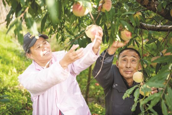 4d5ca628-1ab4-4bf7-a89d-0713454bf196