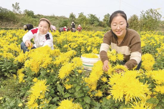 e4ac5dab-2c66-43ac-9615-819d681c8010