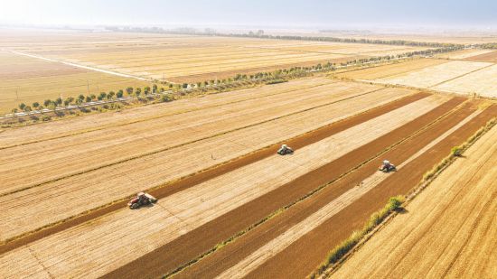 e0731a23-0289-4d18-a711-c929952fe888