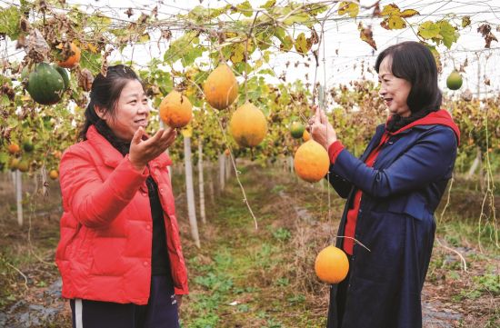 53871a49-1a45-431e-9964-401735ea4a64