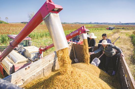 7147b942-8780-40a5-9608-6aa7af29c2b6