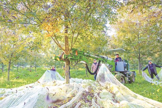 3004ded1-2f7c-4004-bf70-b12166a71529