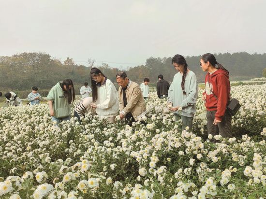 290bd4e8-e43d-41ce-8dc5-eed4c9d4a1d3