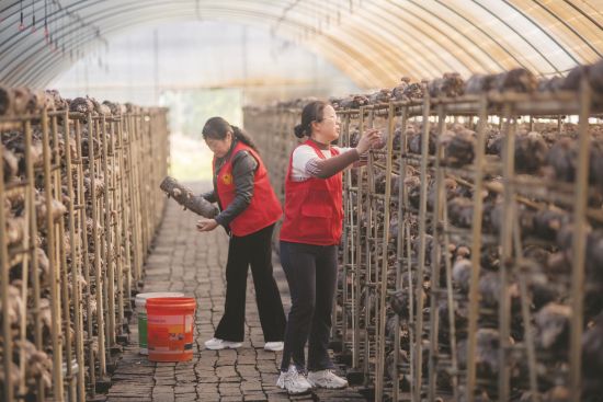 8dc8342a-de08-4a1b-ac9a-af1e4a1d63e1