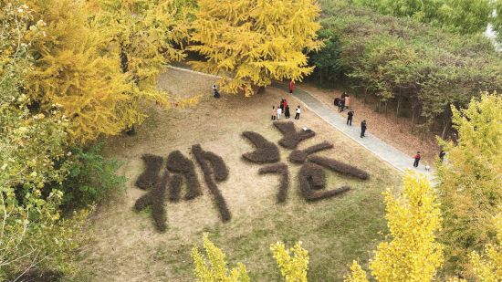 ba5a90e2-2042-40ce-a929-d9c4182ac322