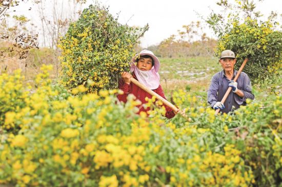 d3bc399e-1ef3-4a41-8e84-0eab3d64a11e