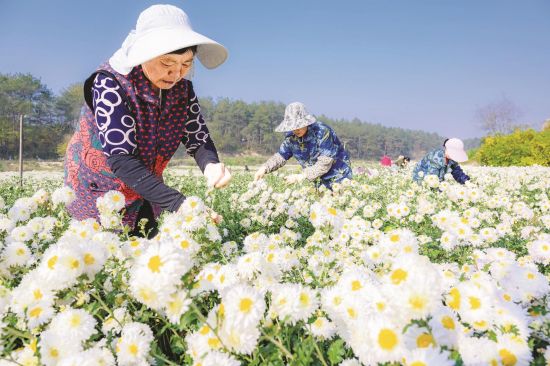 cd23b362-bd89-4803-a302-2a95bcecc26c