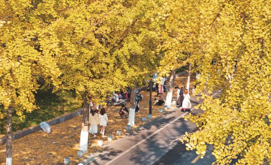 147ae0cf-6f69-49c5-be8d-ab3f766cd10e