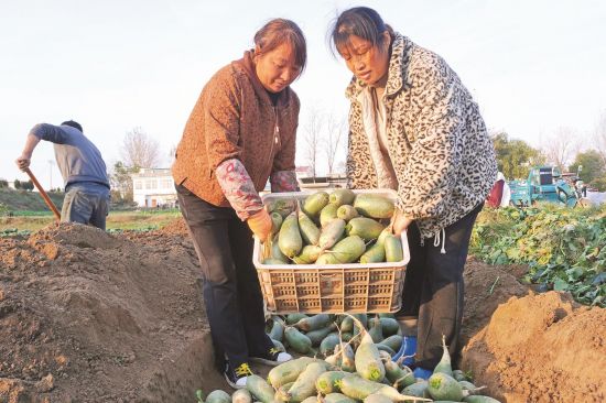 a5d7a4ec-af57-4dad-b2d8-303d4bbb6d9a