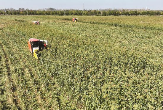 d856ccfc-0dd3-4025-9f73-7f527ee961e6