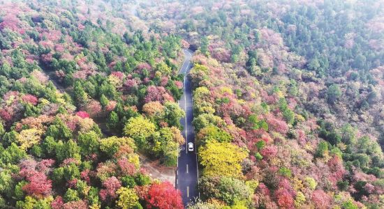 3d644477-9c17-4723-aecd-4613b31d47c6