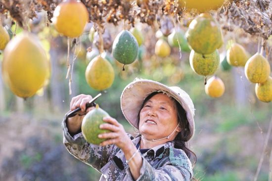 b9ca4c5d-fb2e-4050-a6e2-4666e6a4e8b0