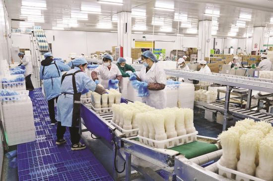 fe7401e6-7753-4982-aa97-dfc7f3452ab7