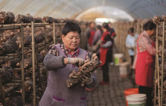 0fd418e6-6e89-40d6-8a69-6c42463c325d