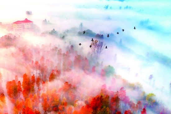 1.《梦幻家园》韩琦富  11月22日摄(3456883)-20241206090818