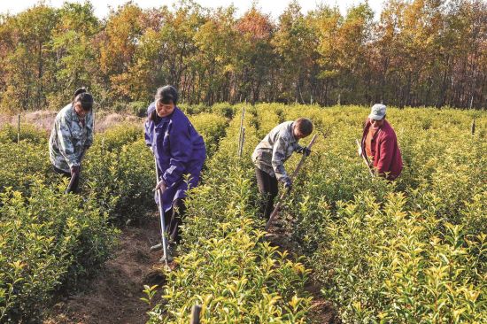 2fa3a7b6-4740-4342-943a-abf82074446a