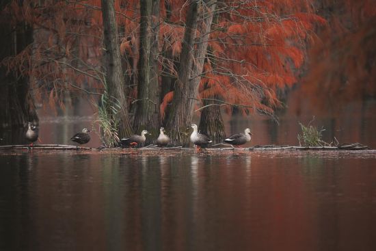 ee333628-fb3b-40cf-b411-0dd2e928d895