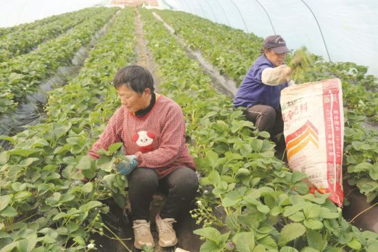 432edcba-2b09-49a4-9bf2-09fd21cc3863