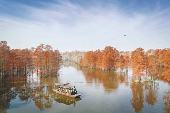 7963222b-08cc-450a-9e86-536558a0b8b7