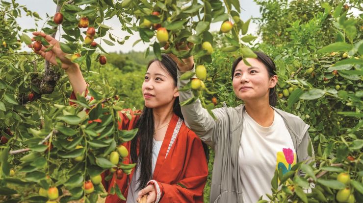 “甜蜜”產(chǎn)業(yè)富一方