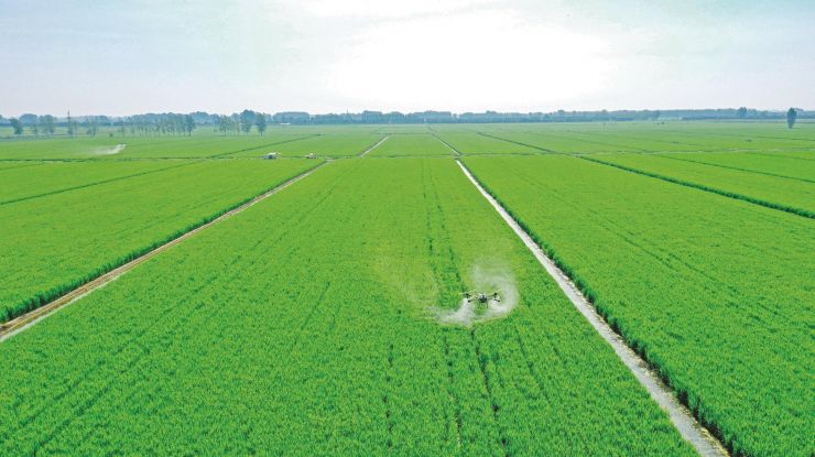 “一噴多促”保豐收