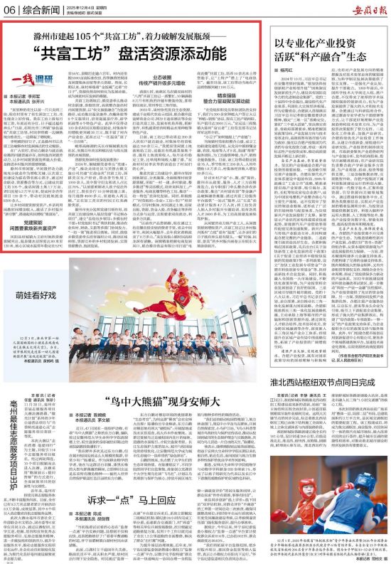 《安徽日报》（2025年12月4日6版）